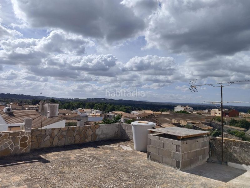Foto bbfdca7e-81f8-4e47-95e5-f1efe4809859. Pis a Muro