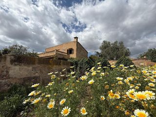 Chalet in Campos poble. Finca rural con proyecto de reforma cerca de es trenc  exclusiva