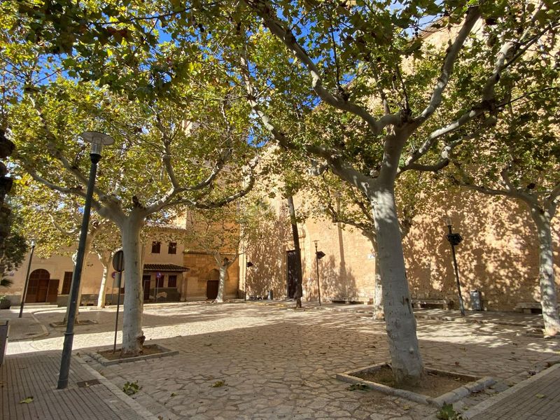 Foto f56fee3c-340f-4d4f-b152-0659846e8d16. Casa amb aparcament a Sa Pobla