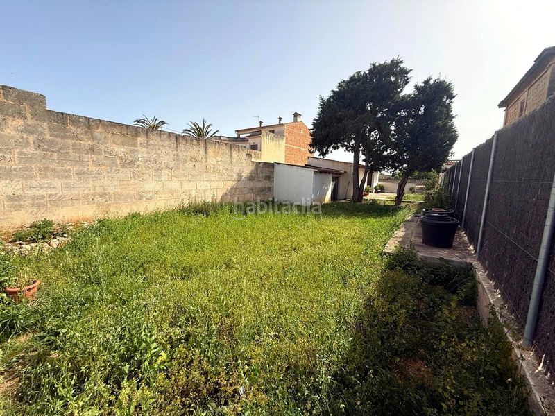 Foto c44e0c89-8d7c-4693-ae7a-d9625a39041f. Terreny residencial a Campos poble Campos