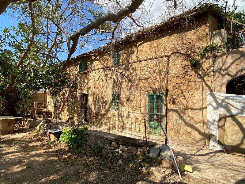 Foto 1030396c-682c-4cea-8973-8121a35ba8f4. Masia amb aparcament a Es Vivero Palma de Mallorca