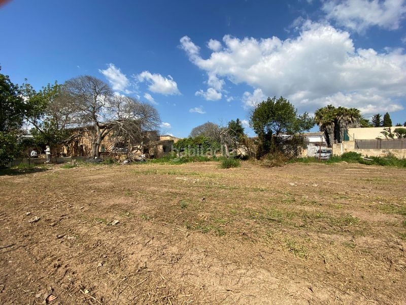 Foto 10feb903-f962-4f6d-93c0-408af4a9bc4e. Masia amb aparcament a Es Vivero Palma de Mallorca