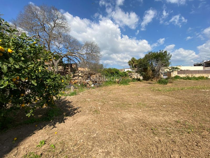 Foto 50d98450-8838-436f-8431-449482a45559. Masia amb aparcament a Es Vivero Palma de Mallorca