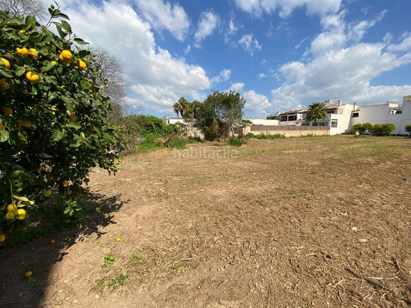 Foto 651888ff-d7b3-439b-b79e-5d28ae13e199. Masia amb aparcament a Es Vivero Palma de Mallorca