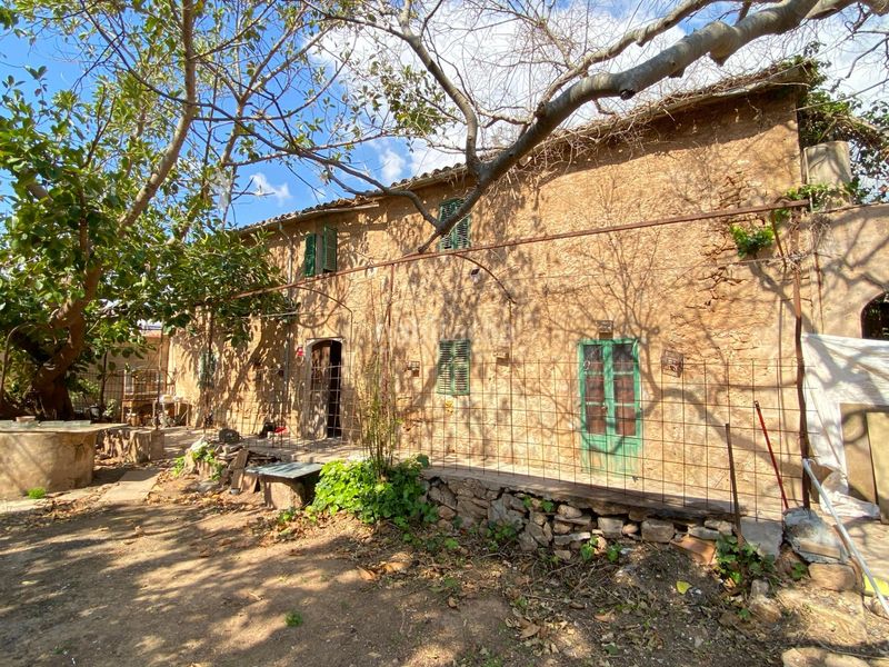 Foto abe748f9-afe4-4c00-922f-3d6d86c1bdb6. Masia amb aparcament a Es Vivero Palma de Mallorca