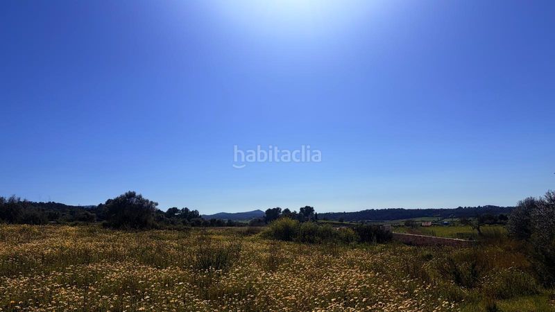 Foto 0ce2546c-ac2a-4b20-abce-688fce091c71. Terreny residencial a Algaida