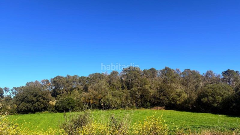 Foto 75f67124-26e8-4494-b2cb-045e21187c3d. Terreny residencial a Algaida