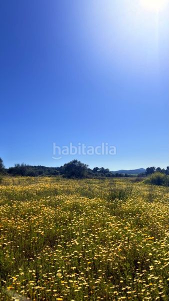 Foto a0fc3ca7-437d-45d0-9c5f-ef51c33a526a. Terreny residencial a Algaida