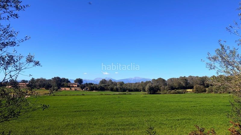 Foto c5bd8003-968d-40bc-8959-b925e583760b. Terreny residencial a Algaida