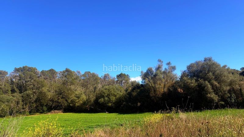 Foto fd1962c4-8ea7-4383-ad71-40b87f1c14a8. Terreny residencial a Algaida