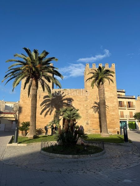 Foto 19b4f6e4-73a9-496d-8f6f-1c05680fd010. Apartament a port d´Alcúdia-platja dálcúdia Alcúdia