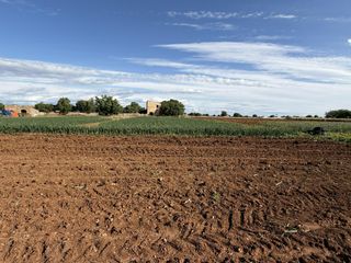 Residential Plot in Manacor Centre. Finca rústica edificable de más de 28.000 m2 en manacor