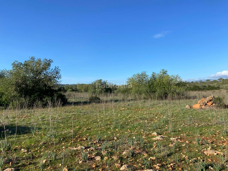 Foto 5d33fae3-348d-4c3b-9356-a869e6163880. Masia a Sineu