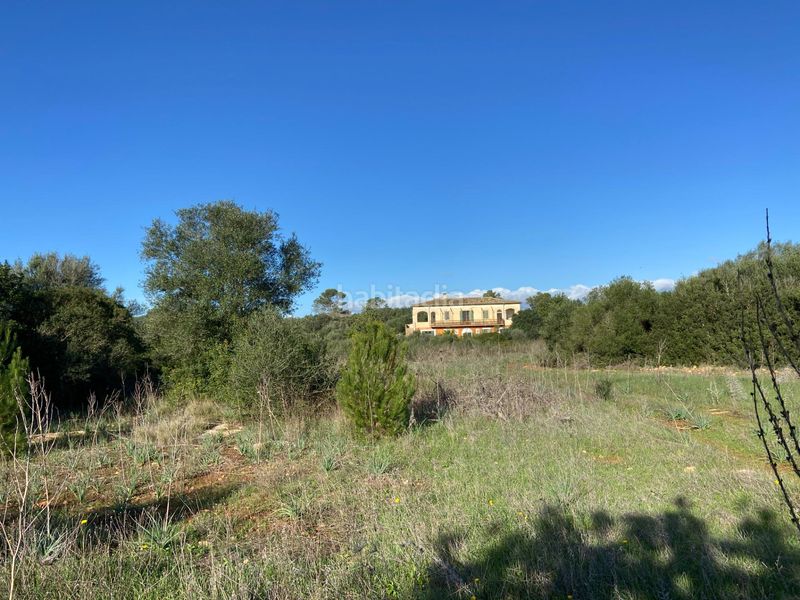 Foto efac1e24-ac1a-49ea-aff9-087430b86a04. Masia a Sineu