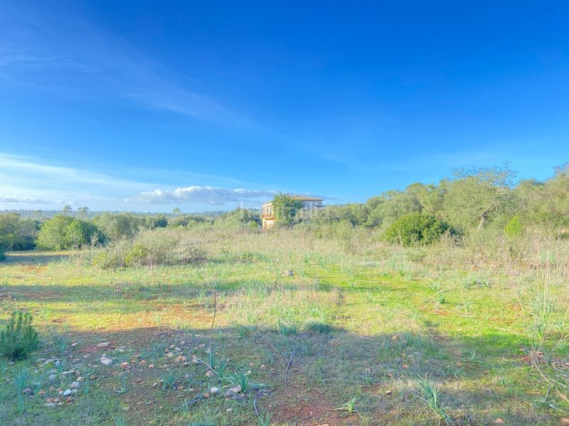 Foto f4b4cb5d-d6b0-449d-8ab7-3b719276d7b6. Masia a Sineu