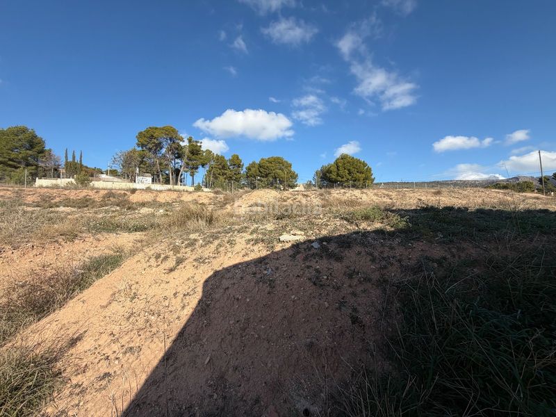 Foto d8d359ad-d381-42fe-a8c8-6d4a4befb0f7. Terreny residencial a Ibi