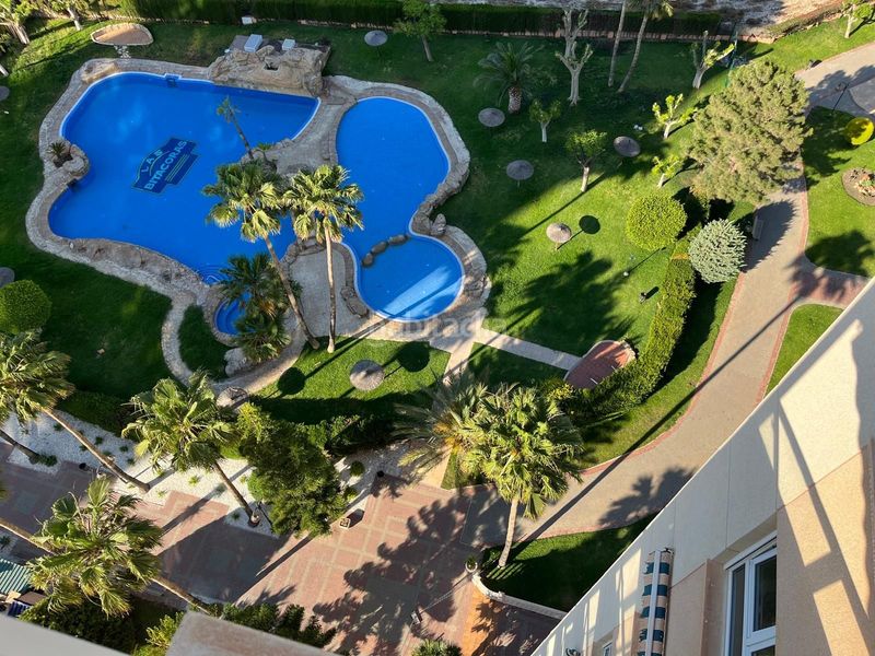 Foto 163fb1a4-6f06-423f-a47d-920638055ab8. Rent flat with heating pool in Playa Muchavista Campello (el)