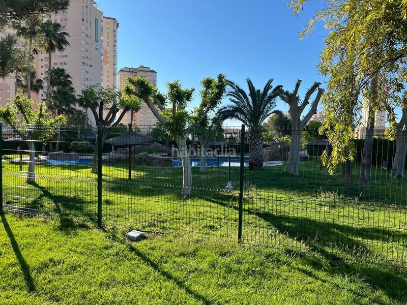 Foto f6b107b9-d473-4992-be75-270ea9c176ac. Rent flat with heating pool in Playa Muchavista Campello (el)