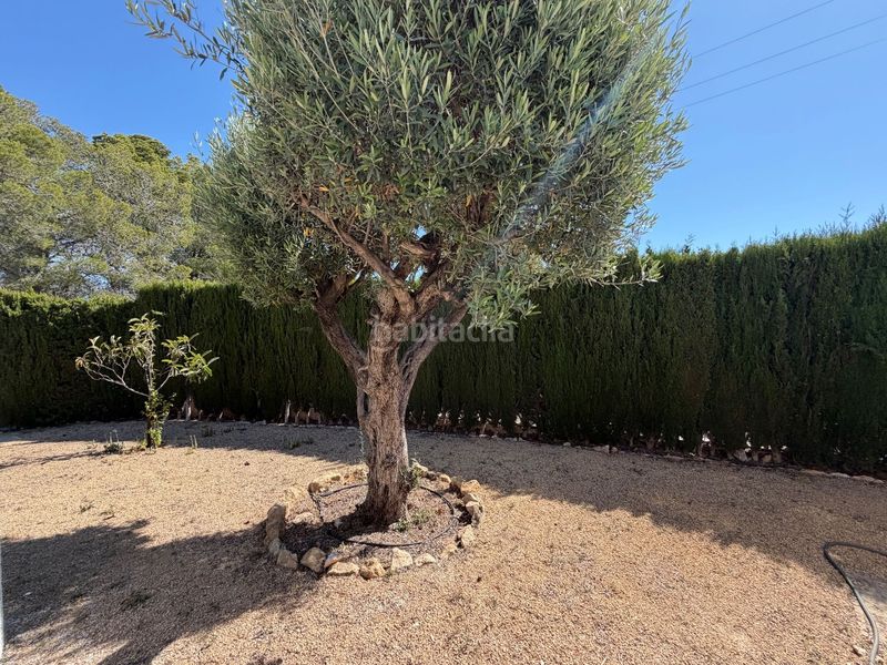 Foto bd6baea1-b257-41ef-baa7-c483686cd832. Casa amb calefacció piscina a Montebello - Nou Espai Nucia (la)