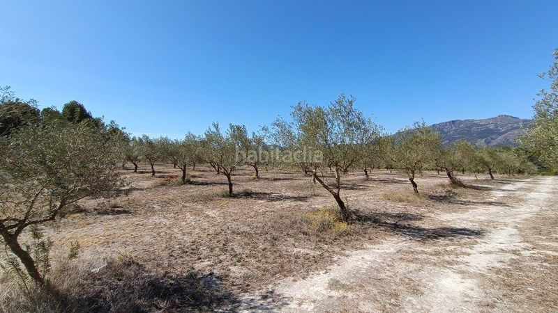 Foto a88d5a6a-24aa-40bf-a41b-f4d6c5773f1e. Wohngrundstück in Gaianes