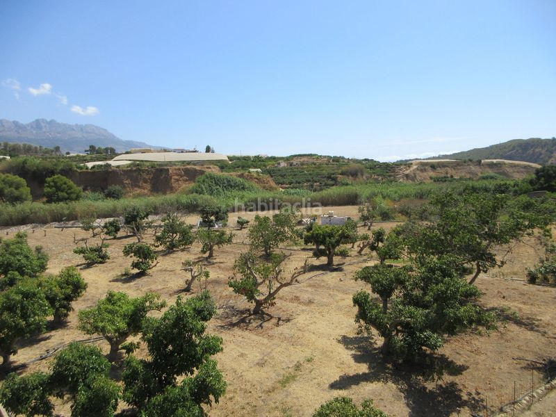 Foto 691f06cd-e4fe-4f24-91c8-582871c10904. Finca rústica a La Nucia Pueblo Nucia (la)