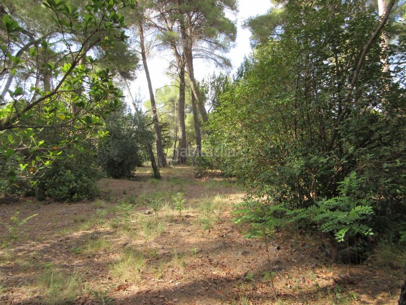 Foto 099effbf-9a6a-490c-bf30-0f54f02dcd8b. Chalet avec chauffage dans Ibi