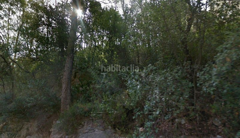Foto c00e1b05-683b-4ede-b992-8b8f1b6051a7. Terreny residencial a port de Pollença Pollença