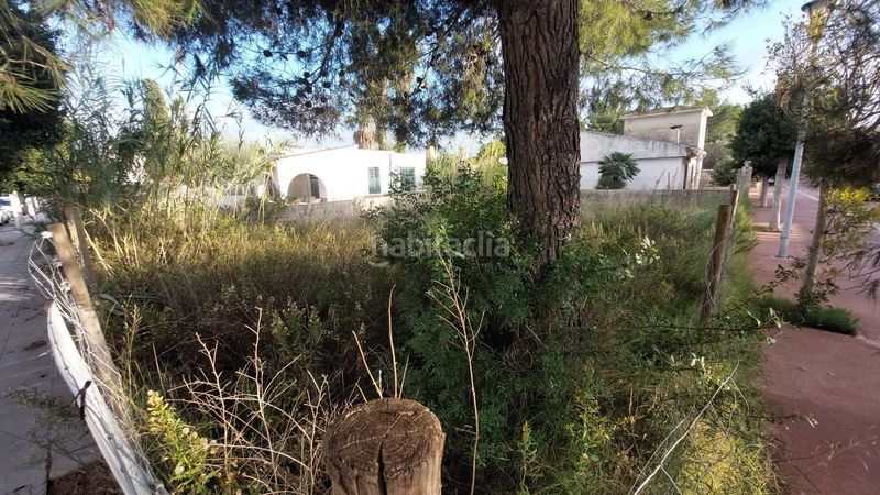 Foto 644059e2-dea7-43c8-8834-e39f5ddd1f96. Terreny residencial a port d´Alcúdia-platja dálcúdia Alcúdia
