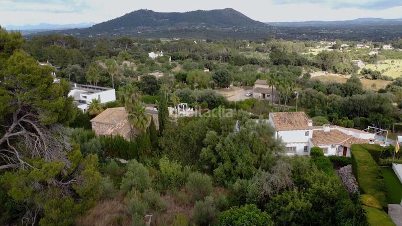 Foto 122793d0-1d8e-42fa-9c09-52fc6aa2c98f. Wohngrundstück in Son Amonda - Reis Catòlics Inca