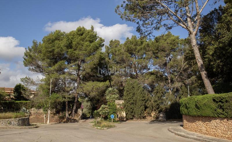 Foto e8e3ac5c-5929-467b-874e-aae84d41c48a. Wohngrundstück in Son Amonda - Reis Catòlics Inca