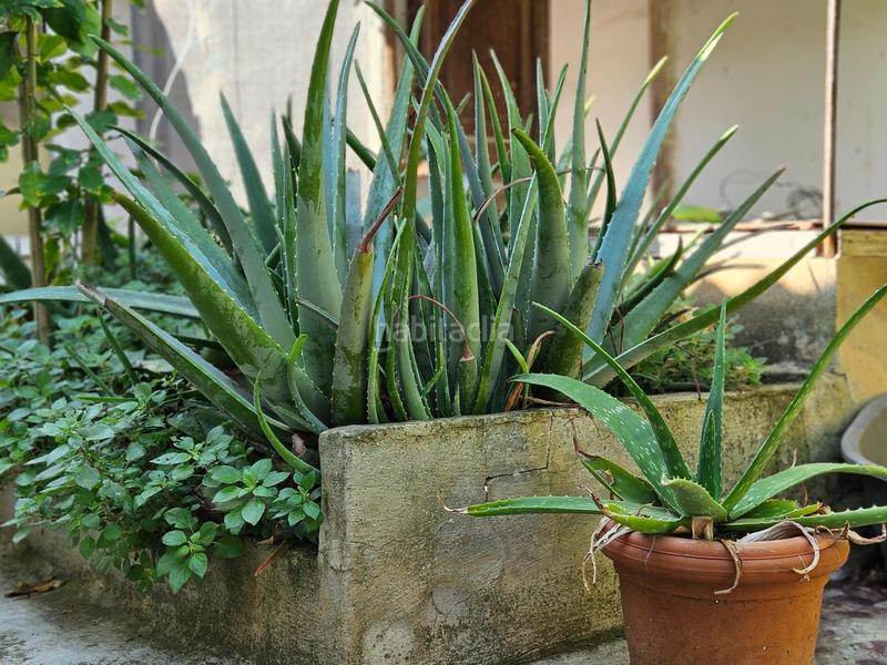 Foto 3bb75adc-54c7-4354-ac23-b22b7494ca2c. Semi detached house in Son Serra-Sa Vileta Palma de Mallorca