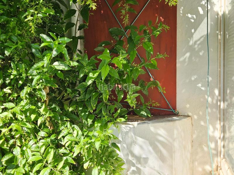 Foto d4f0e213-31dc-43f5-b4c9-4785669ed13f. Semi detached house in Son Serra-Sa Vileta Palma de Mallorca