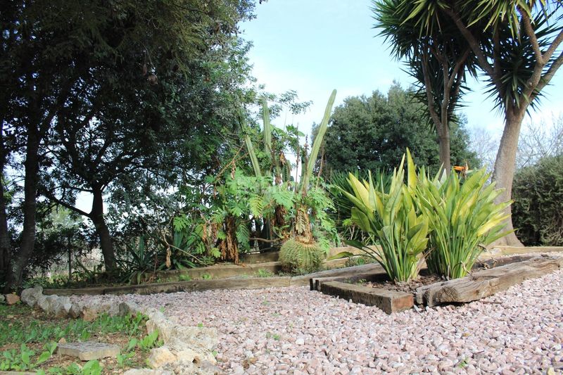 Foto a9f8c6f6-b18a-4eb6-8a55-2a9be6a3e1a7. Chalet avec chauffage parking piscine dans Zona Periurbana Inca