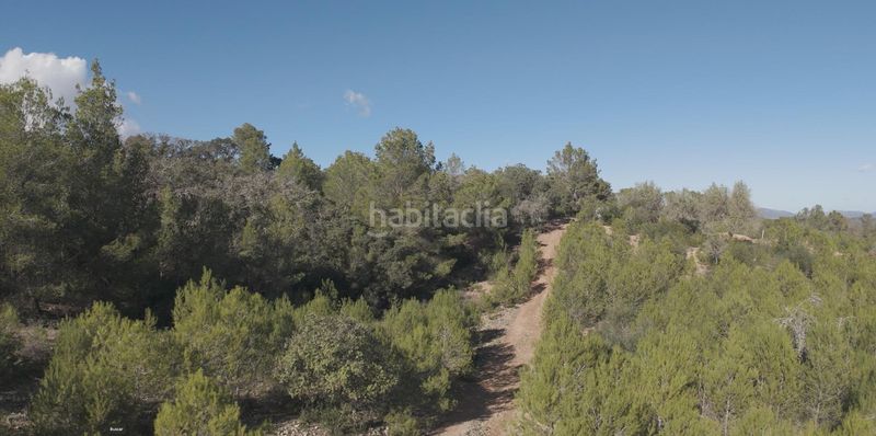 Foto 6097a265-de1c-46f6-abaa-14e5441376f7. Casa amb piscina a Costitx