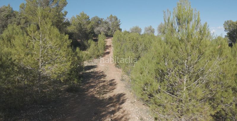 Foto a15b8afe-4aa4-4ad9-8957-8b523f0bf161. Casa amb piscina a Costitx