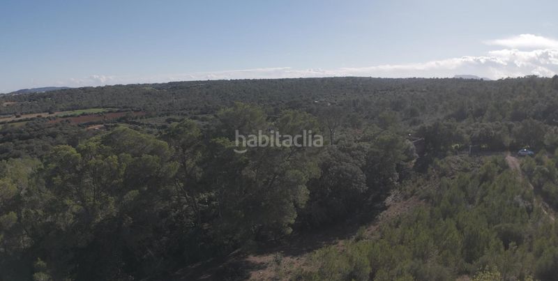 Foto c8b0a15d-f656-4f4a-9a39-7c6e4d84a5e5. Casa amb piscina a Costitx