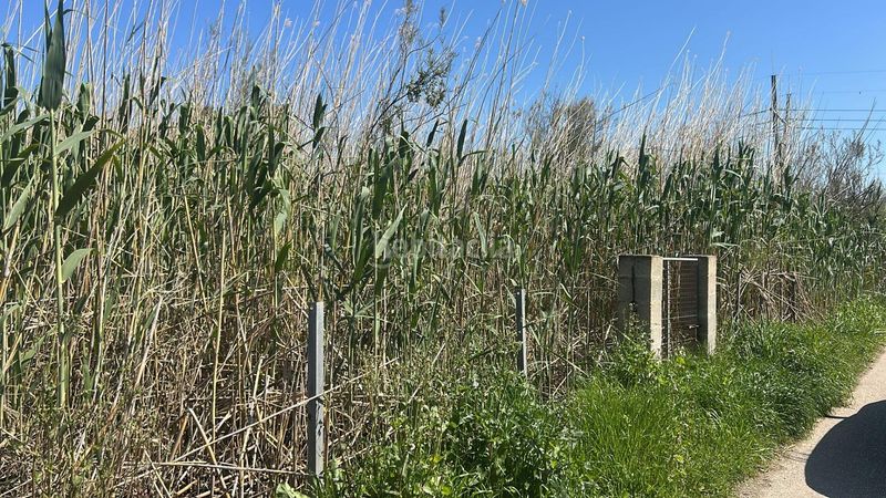 Foto 79102e2d-d687-47eb-baaa-9dcbef2a29f0. Finca rústica a Sa Pobla