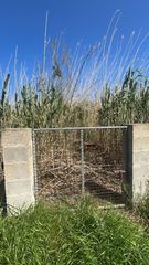 Landgut in Sa Pobla. Parcela casi vallada con pozo  sa pobla, mallorca
