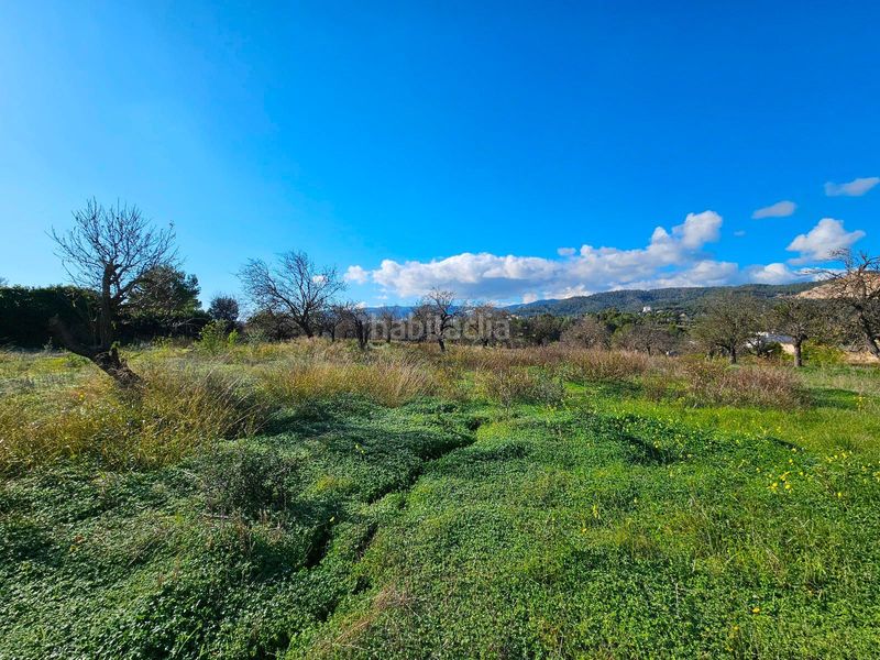 Foto 0939440d-e270-4f3d-9363-aaca01d3164c. Xalet amb aparcament a Son Amonda - Reis Catòlics Inca