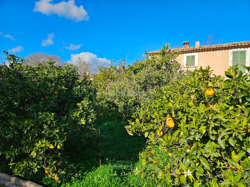 Foto 3526f54e-f37a-4437-84c2-eb323d005641. Xalet amb aparcament a Son Amonda - Reis Catòlics Inca