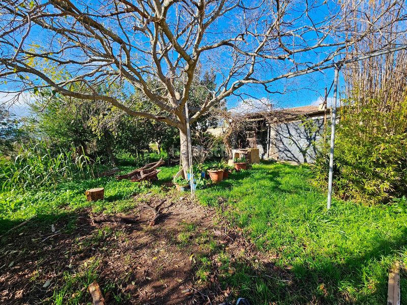 Foto 6b33b7df-e322-4baa-9382-ac86ee4c43b7. Xalet amb aparcament a Son Amonda - Reis Catòlics Inca