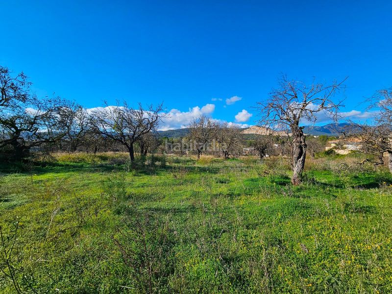 Foto bbf12a59-2138-42ff-b0af-d97253caaa94. Xalet amb aparcament a Son Amonda - Reis Catòlics Inca