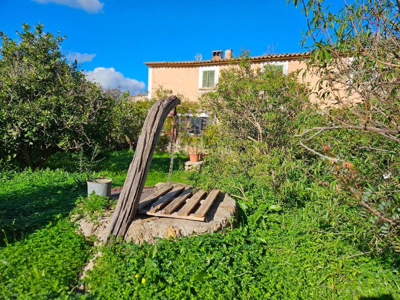 Foto db6a1f04-242f-4392-920b-d99bec515233. Xalet amb aparcament a Son Amonda - Reis Catòlics Inca