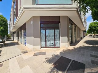 Local Comercial a Son Amonda - Reis Catòlics