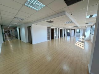 Miete Büro in Sa Indioteria Urbà. Alquiler gran oficina en edificio vip asima  son castelló