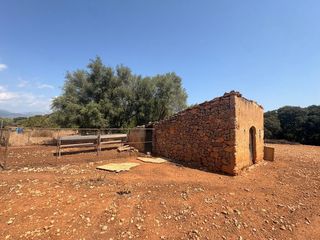 Terreno residencial en Sencelles