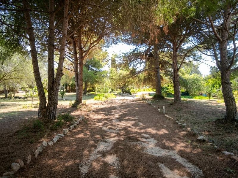 Foto 012f9c7b-46e4-4b0a-8b1d-38f81c6dbe2d. Masia amb piscina a Algaida
