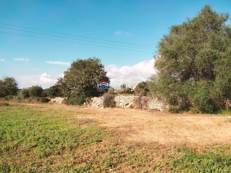 Foto 194000c0-6f9f-4633-827a-5288f9b31787. Finca rústica terreno agrario de 3.897m2 en Llubí