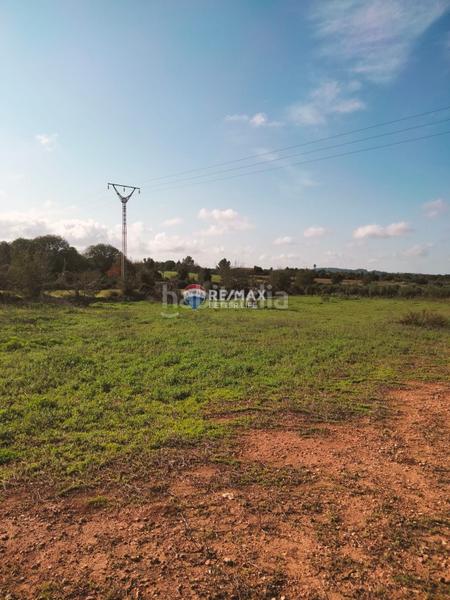 Foto 9c619af2-c142-4948-a256-d6c73205cf53. Finca rústica terreno agrario de 3.897m2 en Llubí