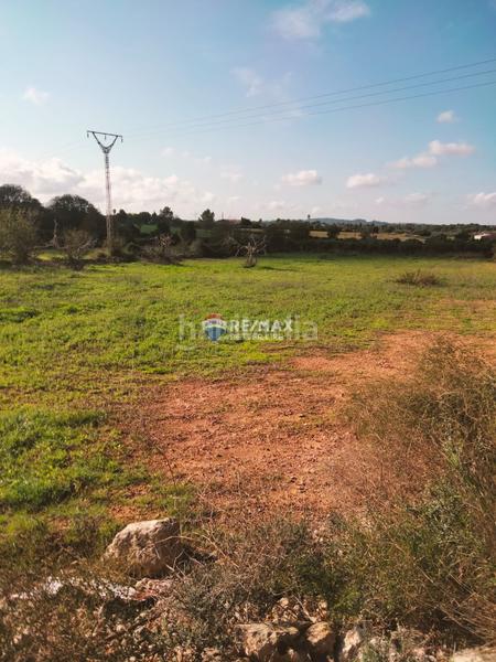Foto f8648f6f-b1c2-4058-aa61-8bf19cbf4097. Finca rústica terreno agrario de 3.897m2 en Llubí